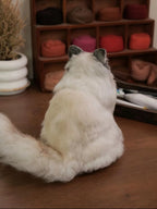 Custom Pet Wool Felt Figurine – Full Body | Handmade 3D Portrait