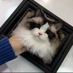 Custom Pet Wool Felt Portrait – Half Body Framed Sculpture