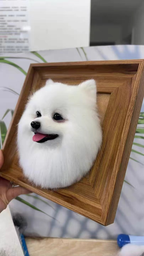 Custom Pet Wool Felt Portrait – Half Body Framed Sculpture