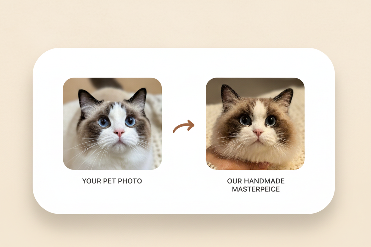 Before After Comparison Widget with Ragdoll Cat